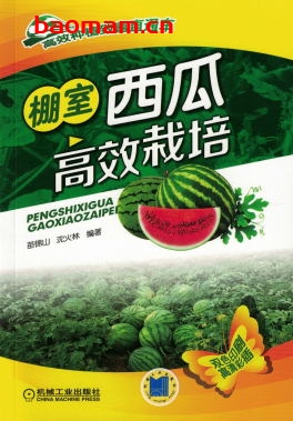 棚室西瓜高效栽培-作者: 苗锦山-PDF电子书 电子书 第1张-7B4电子书 棚室西瓜高效栽培-作者: 苗锦山-PDF电子书