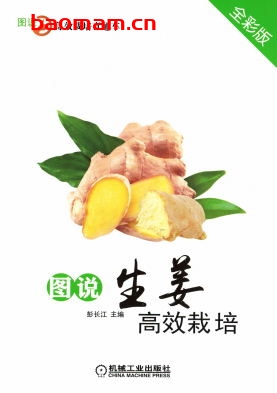 图说生姜高效栽培(全彩版)-作者: 彭长江-PDF电子书 电子书 第1张-7B4电子书 图说生姜高效栽培(全彩版)-作者: 彭长江-PDF电子书