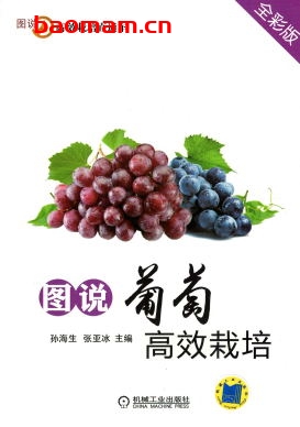 图说葡萄高效栽培(全彩版)-作者: 孙海生-PDF电子书 电子书 第1张-7B4电子书 图说葡萄高效栽培(全彩版)-作者: 孙海生-PDF电子书