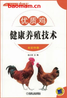 优质鸡健康养殖技术-作者： 赵小玲-PDF电子书