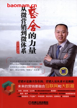 整合的力量：从微营销到微体系-作者： 林潺编著-PDF电子书