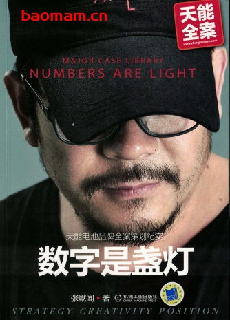 数字是盏灯—天能电池品牌全案策划纪实-作者： 张默闻-PDF电子书