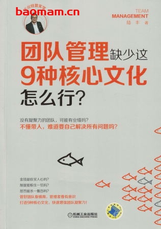 团队管理缺少这9种核心文化怎么行？-作者： 陆丰-PDF电子书