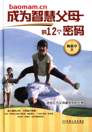 成为智慧父母的12个密码-作者： 杨思卓　著-PDF电子书
