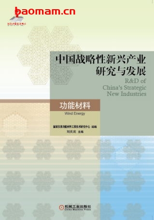中国战略性新兴产业研究与发展·功能材料-作者: 刘庆宾-PDF电子书 电子书 第1张-7B4电子书 中国战略性新兴产业研究与发展·功能材料-作者: 刘庆宾-PDF电子书