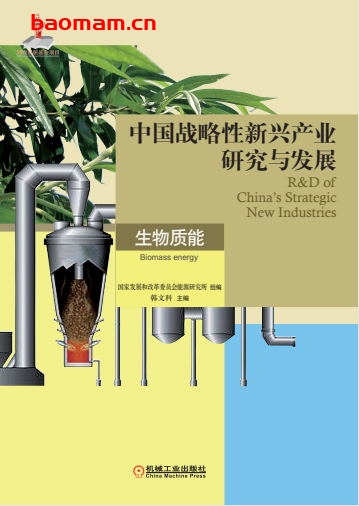 中国战略性新兴产业研究与发展生物质能-作者: 韩文科-PDF电子书 电子书 第1张-7B4电子书 中国战略性新兴产业研究与发展生物质能-作者: 韩文科-PDF电子书