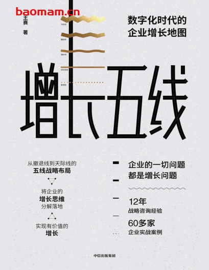 增长五线：数字化时代的企业增长地图-作者: 王赛-PDF电子书