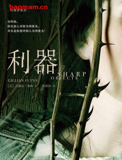 利器-作者: [美] 吉莉安·弗琳-PDF电子书