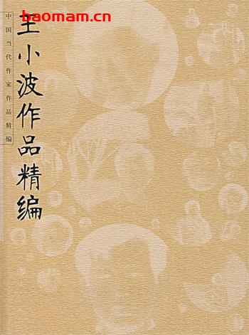 王小波作品集-作者:  王小波-PDF电子书 文学小说 第1张-7B4电子书 王小波作品集-作者:  王小波-PDF电子书