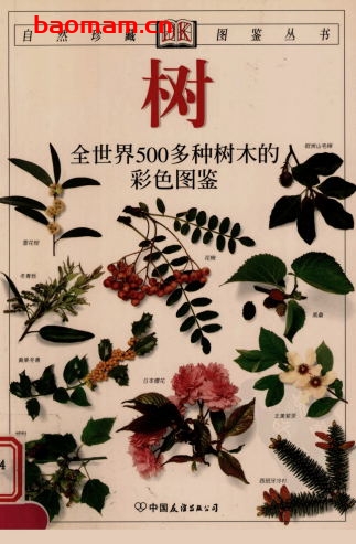 树：全世界500多种树木的彩色图鉴-作者:  [美] 库姆斯-PDF电子书