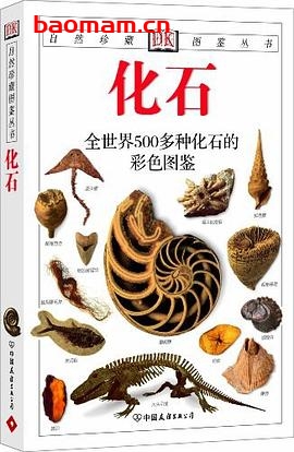 化石:全世界500多种化石的彩色图鉴-作者: (英)沃克-PDF电子书 电子书 第1张-7B4电子书 化石:全世界500多种化石的彩色图鉴-作者: (英)沃克-PDF电子书