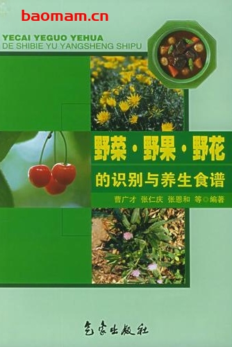 野菜·野果·野花的识别与养生食谱-作者: 曹广才-PDF电子书 健康生活 第1张-7B4电子书 野菜·野果·野花的识别与养生食谱-作者: 曹广才-PDF电子书