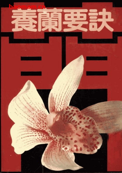 养兰要诀_湖心编著-PDF电子书 电子书 第1张-7B4电子书 养兰要诀_湖心编著-PDF电子书