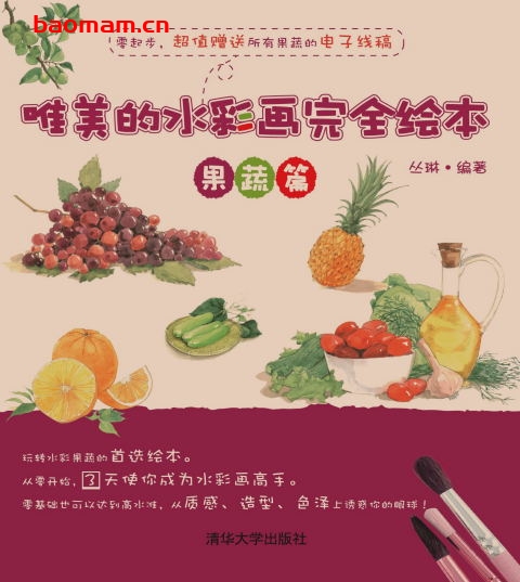 唯美的水彩画完全绘本—果蔬篇-作者: 丛琳　编著-PDF电子书