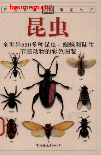 昆虫:全世界550多种昆虫、蜘蛛和陆生节肢动物的彩色图鉴 电子书 第1张-7B4电子书 昆虫:全世界550多种昆虫、蜘蛛和陆生节肢动物的彩色图鉴