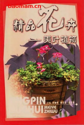 精品花卉:美叶植物-作者: 刘细燕等主编-PDF电子书 电子书 第1张-7B4电子书 精品花卉:美叶植物-作者: 刘细燕等主编-PDF电子书
