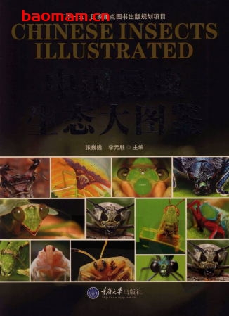 中国昆虫生态大图鉴-作者: 张巍巍 / 李元胜-PDF电子书 电子书 第1张-7B4电子书 中国昆虫生态大图鉴-作者: 张巍巍 / 李元胜-PDF电子书