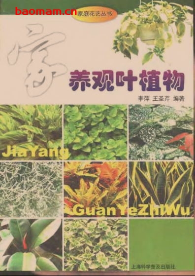 家养观叶植物-作者: 李萍 / 王圣芹-PDF电子书 电子书 第1张-7B4电子书 家养观叶植物-作者: 李萍 / 王圣芹-PDF电子书