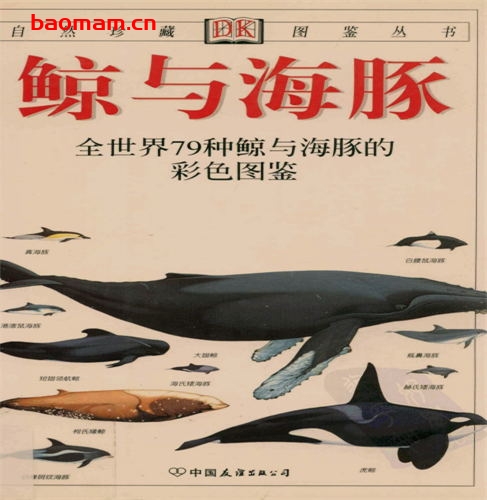 鲸与海豚:全世界79种鲸与海豚的彩色图鉴-作者: 马克.卡沃丁-PDF电子书 电子书 第1张-7B4电子书 鲸与海豚:全世界79种鲸与海豚的彩色图鉴-作者: 马克.卡沃丁-PDF电子书