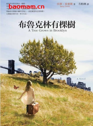 布鲁克林有棵树-作者: 貝蒂.史密斯 Betty Smith-PDF电子书 文学小说 第1张-7B4电子书 布鲁克林有棵树-作者: 貝蒂.史密斯 Betty Smith-PDF电子书