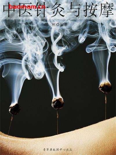 中医针炙与按摩-作者:刘彬-PDF电子书 健康生活 第1张-7B4电子书 中医针炙与按摩-作者:刘彬-PDF电子书
