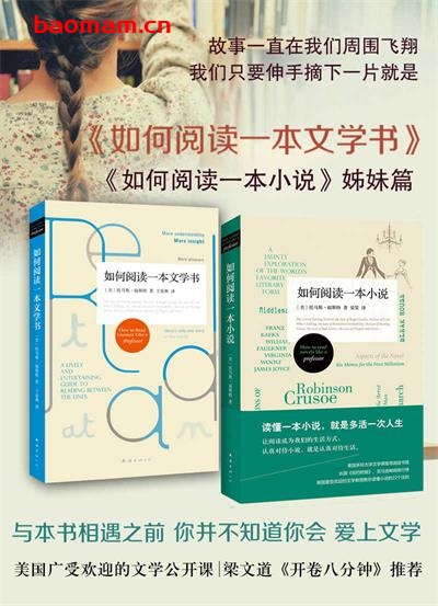 如何阅读一本小说：如何阅读一本文学书（2册）-作者: [美] 托马斯·福斯特-PDF电子书