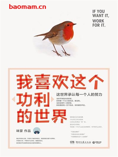 【纸质书籍】我喜欢这个“功利”的世界：这世界承认每一个人的努力
