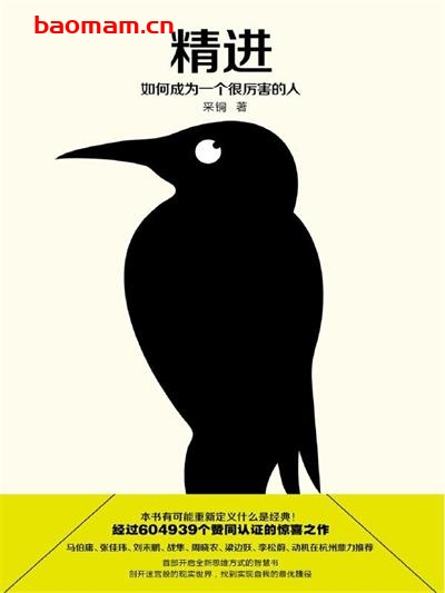 精进:如何成为一个很厉害的人-作者: 采铜-PDF电子书 成功励志 第1张-7B4电子书 精进:如何成为一个很厉害的人-作者: 采铜-PDF电子书