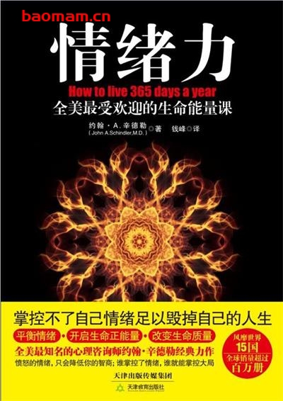 情绪力:全美最受欢迎的生命能量课-作者: 约翰·A.辛德勒-PDF电子书 成功励志 第1张-7B4电子书 情绪力:全美最受欢迎的生命能量课-作者: 约翰·A.辛德勒-PDF电子书
