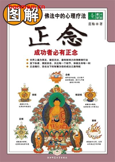 图解正念 ：成功者必有正念-作者: 蓝梅-PDF电子书