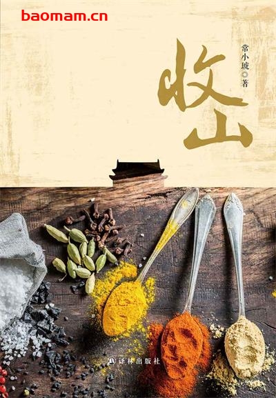 收山-作者: 常小琥-PDF电子书