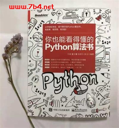 你也能看得懂的Python算法书-作者：王硕，董文馨，张舒行，张洁-PDF电子书