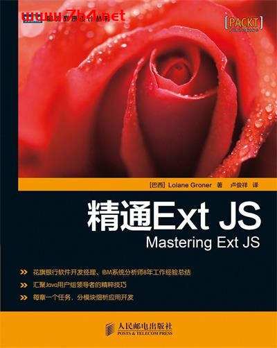 精通Ext JS-作者: [巴西] Loiane Groner-PDF电子书