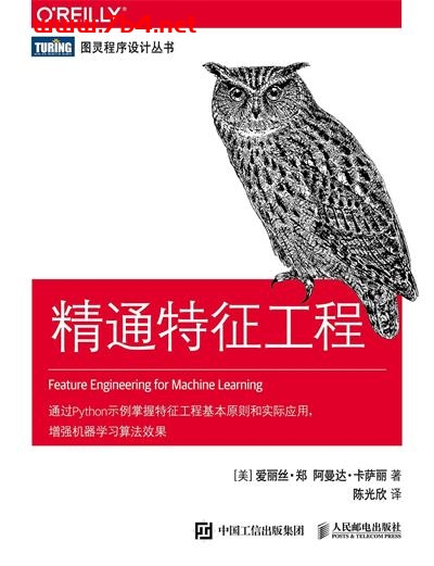 精通特征工程-作者: [美] 爱丽丝 • 郑 / [美] 阿曼达 • 卡萨丽-PDF电子书