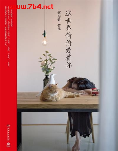 这世界偷偷爱着你-作者: 辉姑娘-PDF电子书 成功励志 第1张-7B4电子书 这世界偷偷爱着你-作者: 辉姑娘-PDF电子书