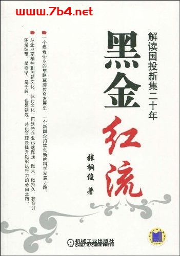 一个煤炭企业的传奇发展史:黑金红流-作者: 张桐俊-PDF电子书