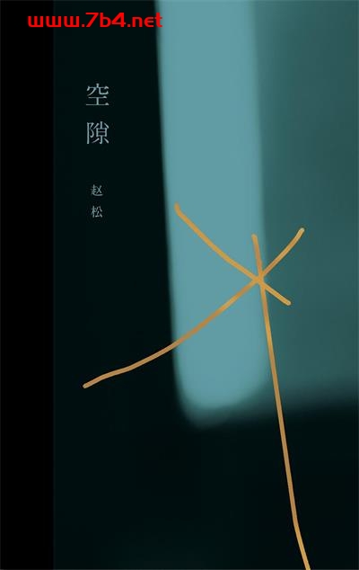 空隙-作者: 赵松-PDF电子书