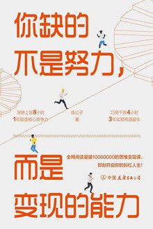 你缺的不是努力，而是变现的能力：用精准努力撬动财富自由-作者: 临公子-PDF电子书