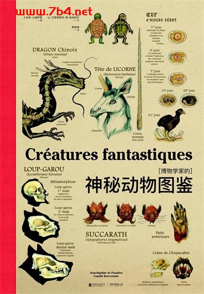 博物学家的神秘动物图鉴-作者: [法] 让-巴普蒂斯特·德·帕纳菲厄 著 / [法] 卡米耶·让维萨德 绘-PDF电子书