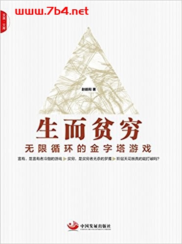 生而贫穷：无限循环的金字塔游戏-作者: 赵皓阳-PDF电子书
