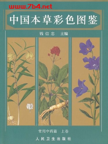 中国本草彩色图鉴(上卷)-作者: 钱信忠-PDF电子书