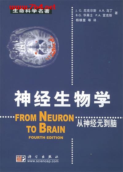 神经生物学:从神经元到脑-作者: John G. Nicholls / A. Robert Martin / Bruce G. Wallace / Pawl A. Fuchs-PDF电子书