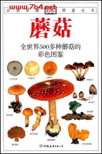 蘑菇全世界500多种蘑菇的彩色图鉴-作者: 托马斯·莱瑟斯-PDF电子书 自然科学 第1张-7B4电子书 蘑菇全世界500多种蘑菇的彩色图鉴-作者: 托马斯·莱瑟斯-PDF电子书