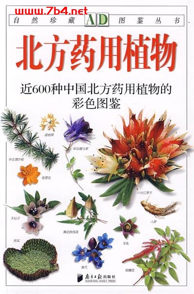 北方药用植物 近600种中国北方药用植物的彩色图鉴-作者: 丁学欣-PDF电子书