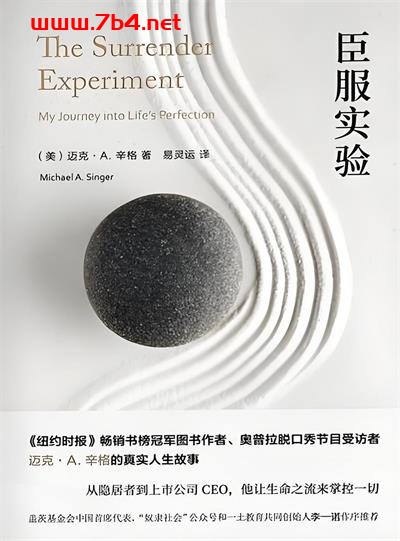 臣服实验-作者: [美] 迈克·A.辛格-PDf电子书