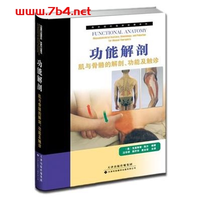 功能解剖 肌与骨骼的解剖、功能及触诊（上）-作者: 克里斯蒂·凯尔-PDF电子书