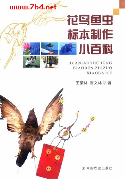 花鸟鱼虫标本制作小百科-PDF电子书 自然科学 第1张-7B4电子书 花鸟鱼虫标本制作小百科-PDF电子书