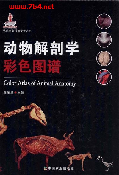 动物解剖学彩色图谱-作者: 陈耀星-PDF电子书 自然科学 第1张-7B4电子书 动物解剖学彩色图谱-作者: 陈耀星-PDF电子书