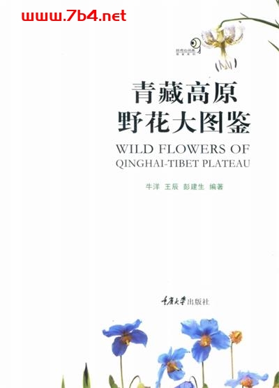 青藏高原野花大图鉴-作者：牛洋、王辰、彭建生-PDF电子书