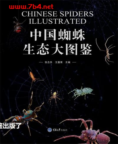 中国蜘蛛生态大图鉴-作者: 张志升-PDF电子书